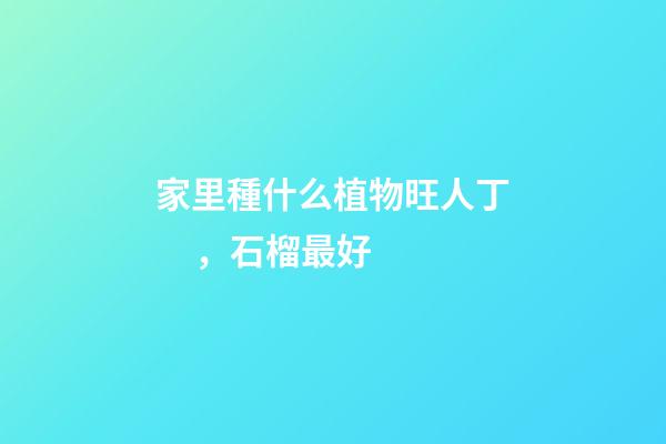 家里種什么植物旺人丁，石榴最好